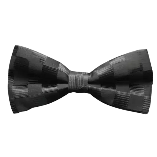 Noeud Papillon noir